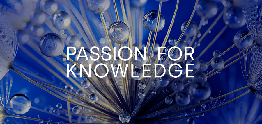 Este jueves revelamos las sorpresas que trae la sexta edición de Passion for Knowledge (P4K)